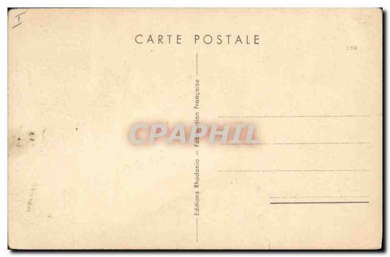 Old Postcard Cat Cats Kitten