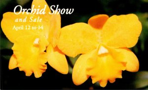 Advertising Orchid Show and Sale Hotel Vancouver Canada