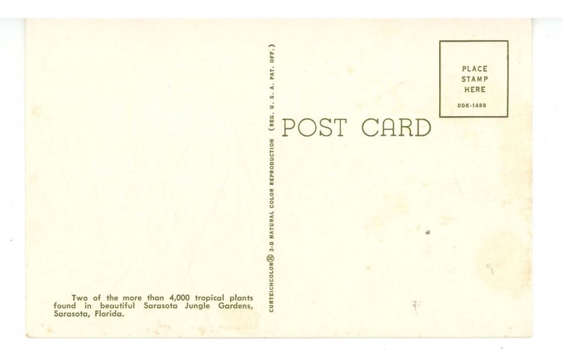 FL - Pandanus Fruit, Philodendron Blossom