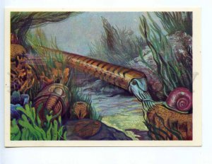 237812 RUSSIA Chevereva Dinosaurs cephalopod old postcard