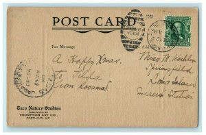 1907 Sailboat Harbor Portland Maine ME Wash Bridge Posted Antique Postcard 