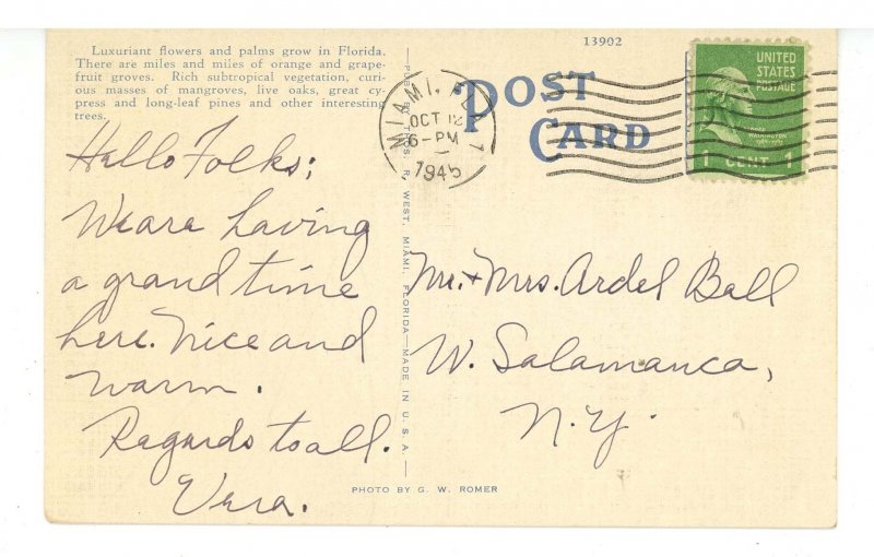 FL - Miami. Beautiful Home  (stain)