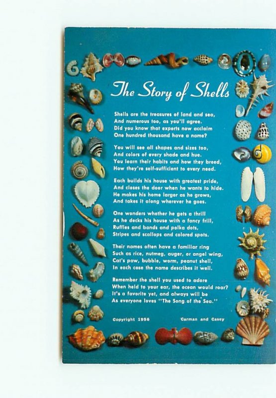 Story of Shells Carman Casey