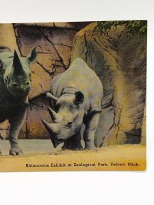 Postcard Rhinoceros Detroit Zoological Park Michigan Unposted Linen Hand Colored