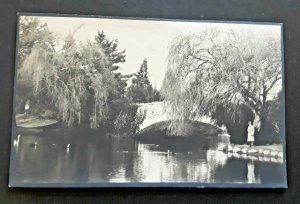 Mint Victoria BC Beacon Hill Park Bridge With Ducks Scene Real Photo Postcard