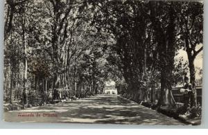 Alameda de Orizaba Mexico c1910 Postcard