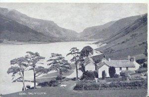 Wales Postcard - Tal-Y-Llyn - Showing Houses - Merionethshire - Ref TZ1699