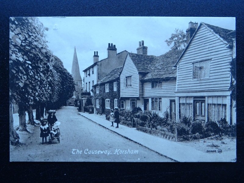 West Sussex HORSHAM The Causeway & St. Mary's Church c1905 Postcard by Valentine