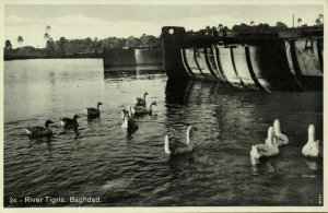 iraq, BAGHDAD BAGDAD بَغْدَاد, River Tigris (1945) Postcard