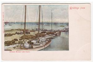 Sponge Market & Boat Fleet 1907c postcard