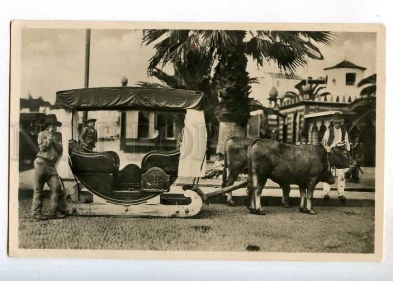 247777 PORTUGAL MADEIRA bullo cart Vintage photo postcard