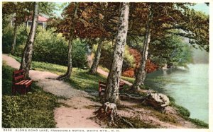 Vintage Postcard Along Echo Lake Franconia Notch White Mountains New Hampshire