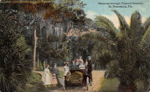 Motoring Through Tropical Scenery Car  - St Petersburg, Florida FL  