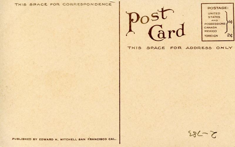 Flowers -  Violets                             (Edward H. Mitchell #3100)