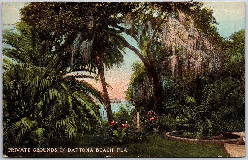 Florida, 1913 Private Grounds in Daytona Beach, Plants Trees, Vintage Postcard