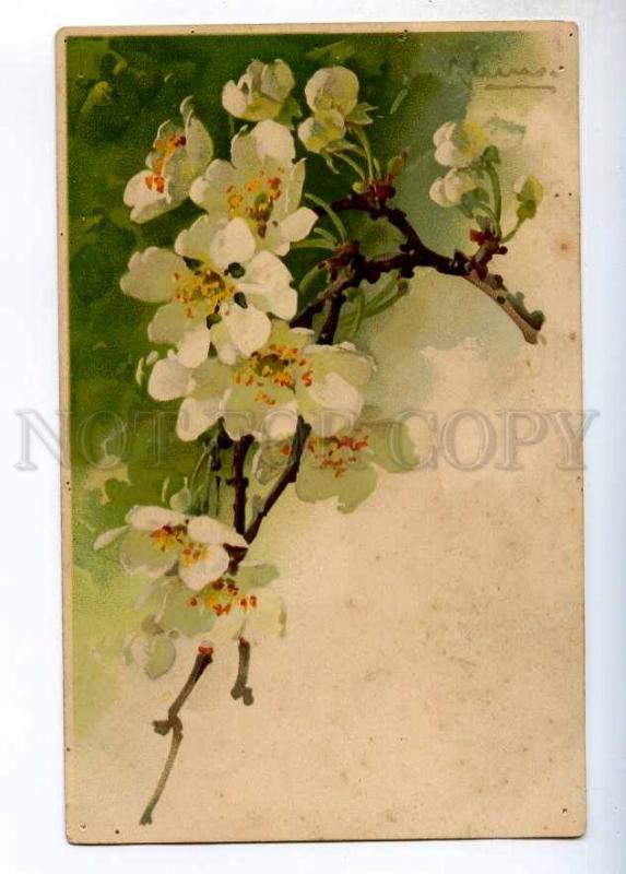 245357 APPPLE Flowers Tree by C. KLEIN Vintage POST OZERKI PC