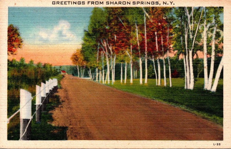 New York Greetings From Sharon Springs 1944