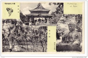 Harvesting grapes & buddha , KAFU, Japan , 20-30s