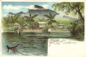 cameroon, King Beldorf at Cameroon River (1900s) Litho Postcard