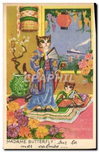 Old Postcard Cats Cat Madame Butterfly