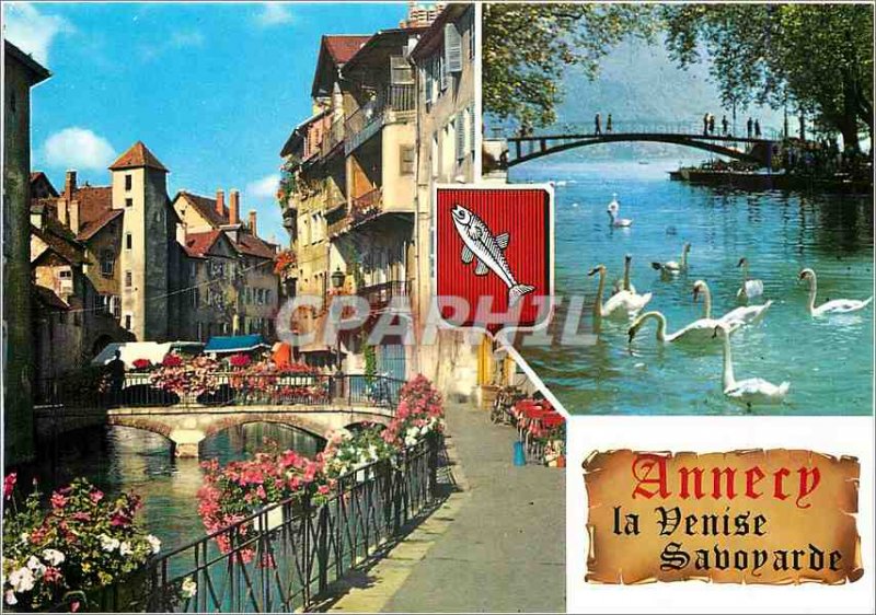 Modern Postcard Annecy beautiful park of old Annecy on Swans Thiou canal
