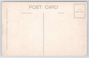 State View~Bow River Bridge & Mt Bundle Banff Canadian Rockies~Vintage Postcard