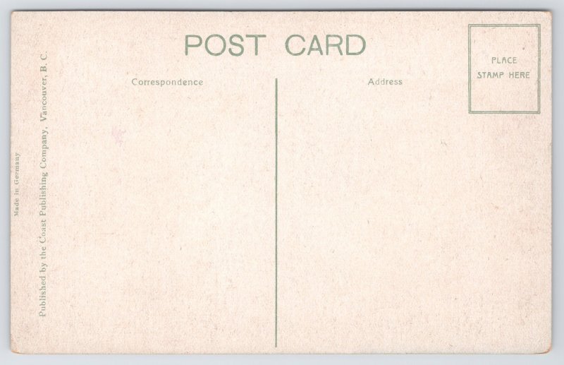 State View~Bow River Bridge & Mt Bundle Banff Canadian Rockies~Vintage Postcard