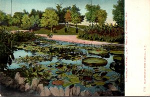 Illinois Chicago Lincoln Park Lily Pond