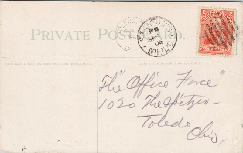 Landing the Seal St. John's NL Newfoundland c1906 Dicks & Co Postcard G12