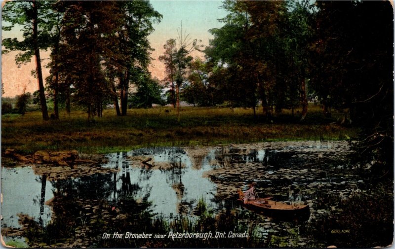 Postcard Ontario Peterborough Lady in Canoe on the Otonabee River ~1910 K77