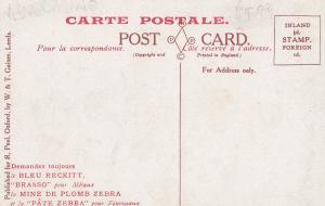 Pate Zebra Antique Grasmere Advertising Postcard