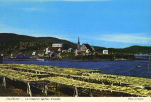 Cloridorme La Gaspesie Quebec QC Que Unused Postcard D24