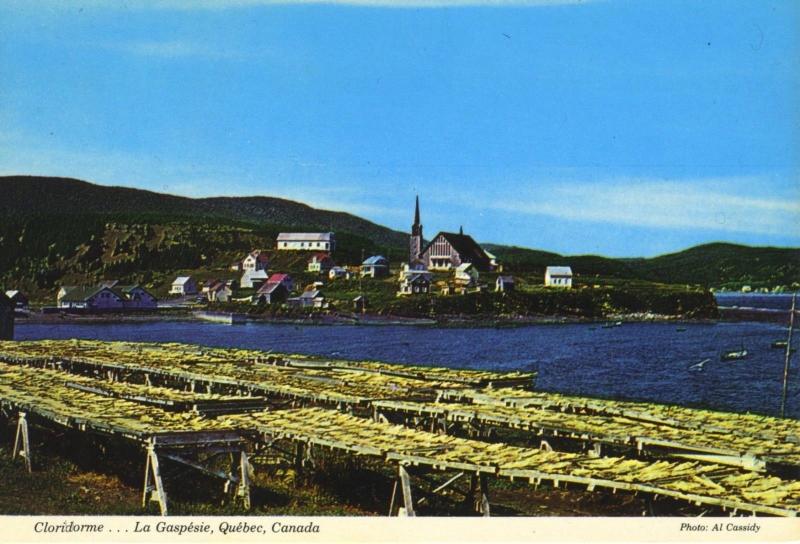 Cloridorme La Gaspesie Quebec QC Que Unused Postcard D24