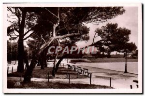 Modern Postcard La Rochelle La Plage A Travers les Pins