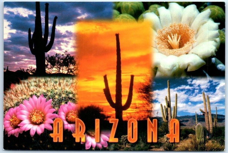 Postcard - Arizona