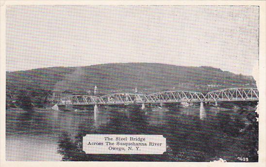 New York Owego Steel Bridge Across Susquehanna River Dexter Press