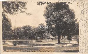 A22/ Clifton Springs New York NY Real Photo RPPC Postcard 1905 Fish Pond