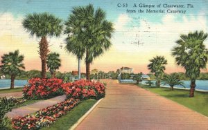 Vintage Postcard 1941 A Glimpse Of Clearwater Florida From The Memorial Causeway