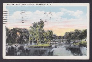 Postcard, United States, Rochester NY, Willow Pond, East Avenue