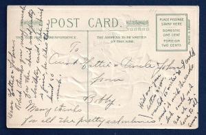 Washington Birthday Riding his Horse Used c1910s