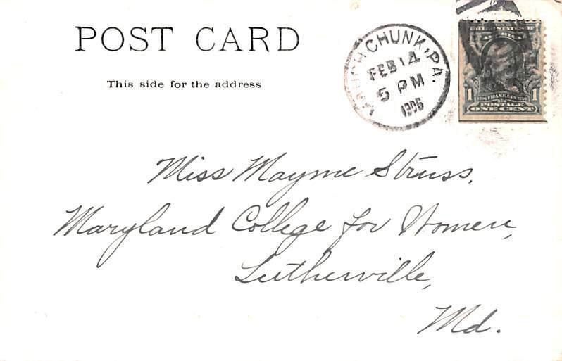 Bear Mountain Mauch Chunk, Pennsylvania PA Postcard