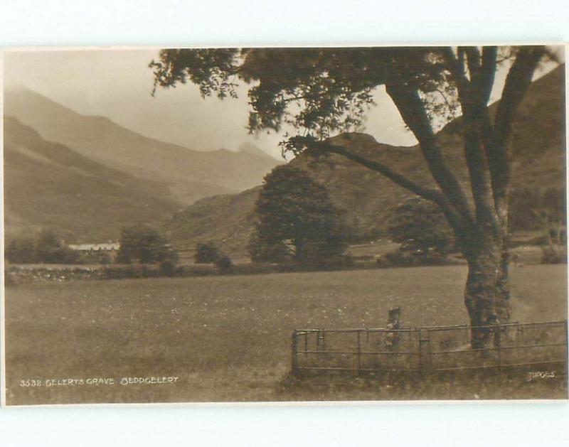 old rppc NICE VIEW Beddgelert In Snowdonia - Gwynedd Wales UK i2335