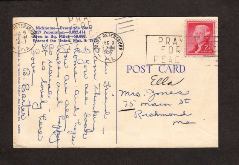 FL Greetings From Florida Large Letter Postcard