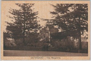 44404 vintage postcard - CATANZARO City - VILLA DAISY-