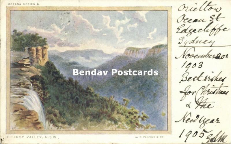 australia, FITZROY Valley, N.S.W., Panorama (1905) Penfold & Co.