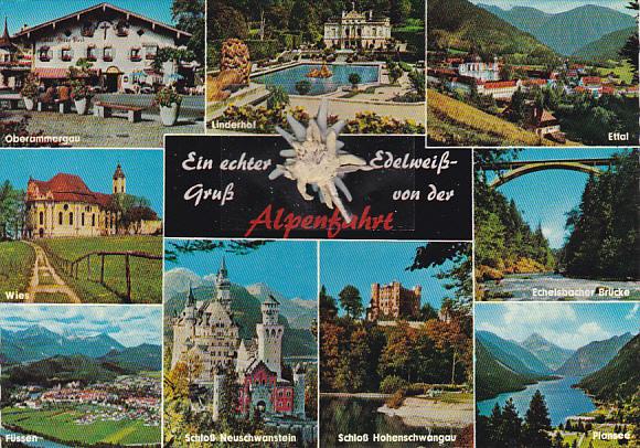 Greetings Gruss Von Der Alpenfahrt Echter Edelweiss