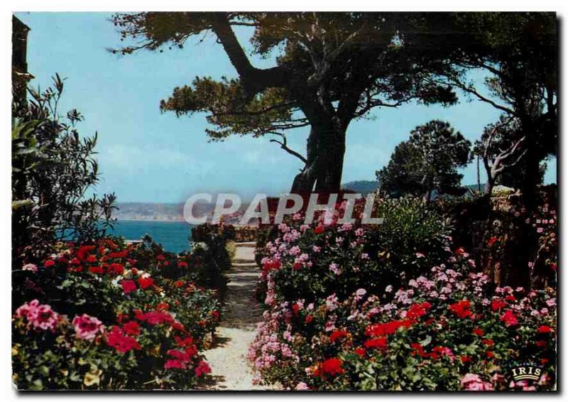 Postcard Modern Reflections of the French Riviera flower gardens on the shore...