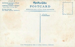 California Borrego Palm Canyon Hoberg Resort Corbett Postcard 22-697