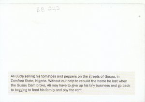 Nigeria Postcard - Ali Buda Selling His Tomatoes - Gusau, Zamfara State  TZ5003