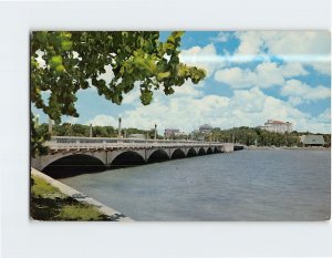 Postcard A sea grape tree frames the bridge leading to Clearwater Florida USA